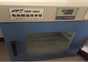 恒温培养箱
